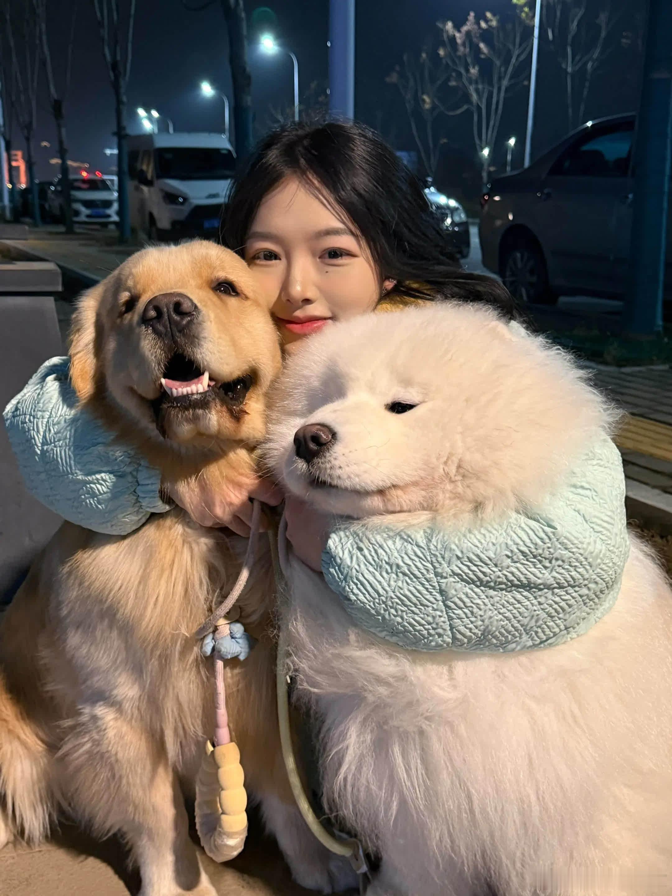 我的世界因为有了你们所以明亮了起来萌宠宠物