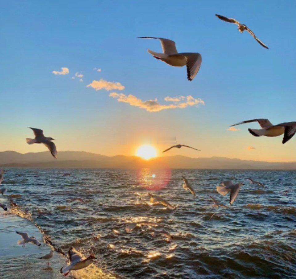 中东局势趋紧，停火进入倒计时 ，美伊双方仍未开启第二轮谈判 ，国际石油尾盘大幅冲