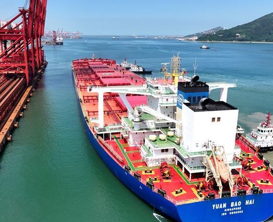 当一船满载6.9万吨巴西大豆的货轮靠泊江苏泰州码头时，谁也没想到，大豆中混入了约