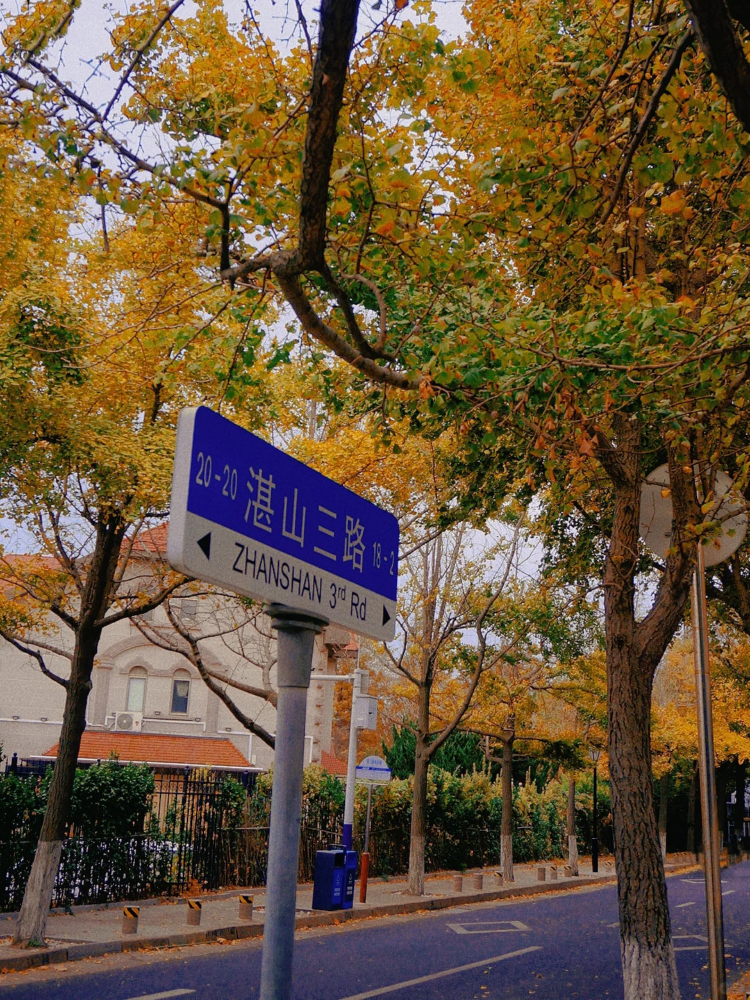 青岛赏秋攻略合集‼️期待已久的秋天🍂要来啦