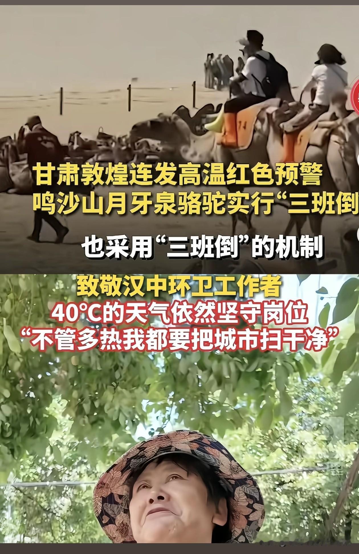 高温，连骆驼都三班倒