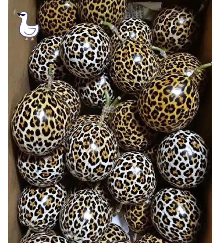 我滴个乖乖！一打开快递箱，差点没把我魂儿都吓飞了！

嫁到山里的老同学说给我寄点