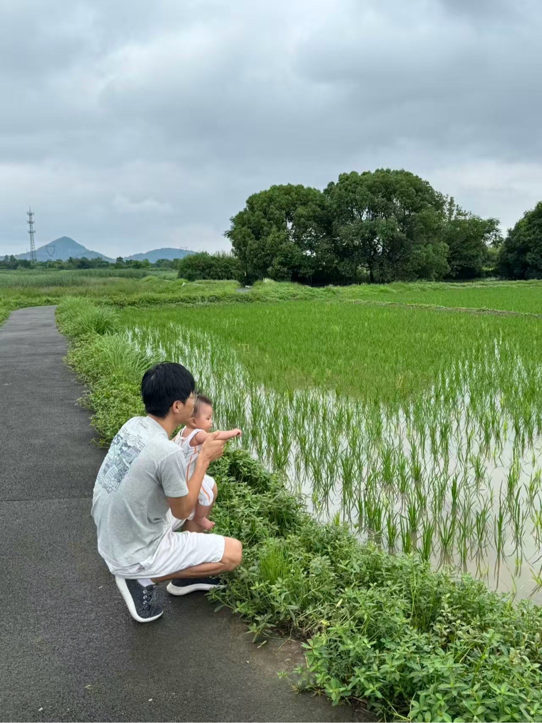 今天天气太舒服了，带娃来良渚古城遗址公园踏踏青、吹吹风，看看刚刚种下的水稻。 