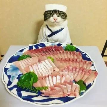 鱼生一定要干净