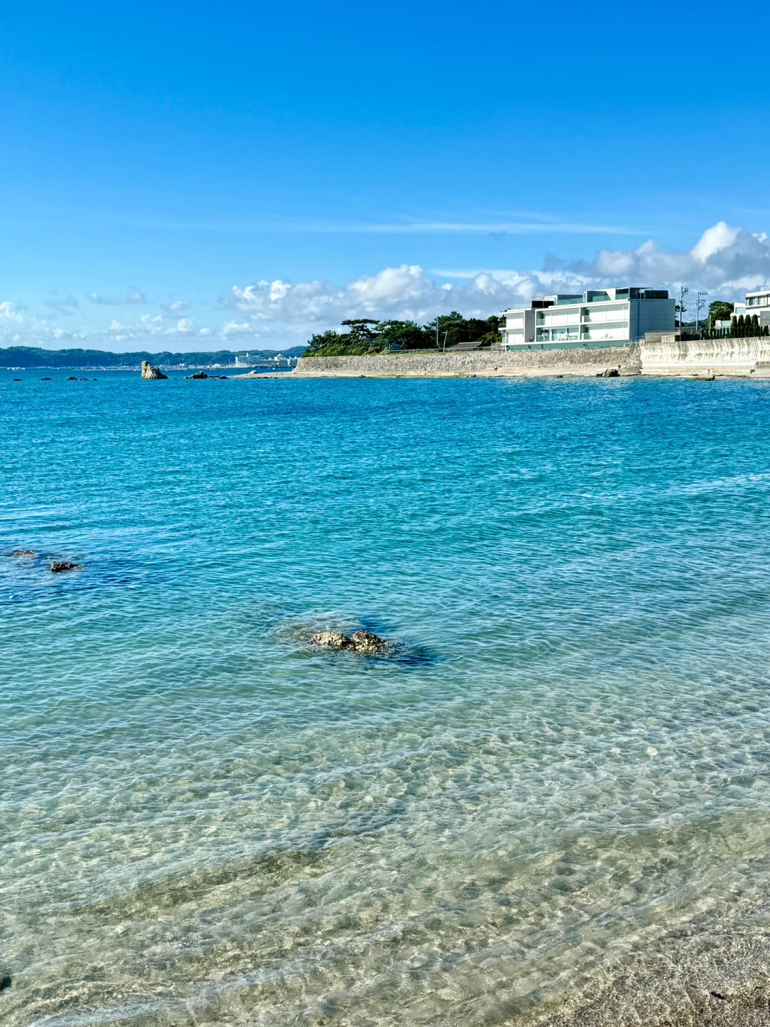 东京周边看海，发现了这片超美的果冻海🌊