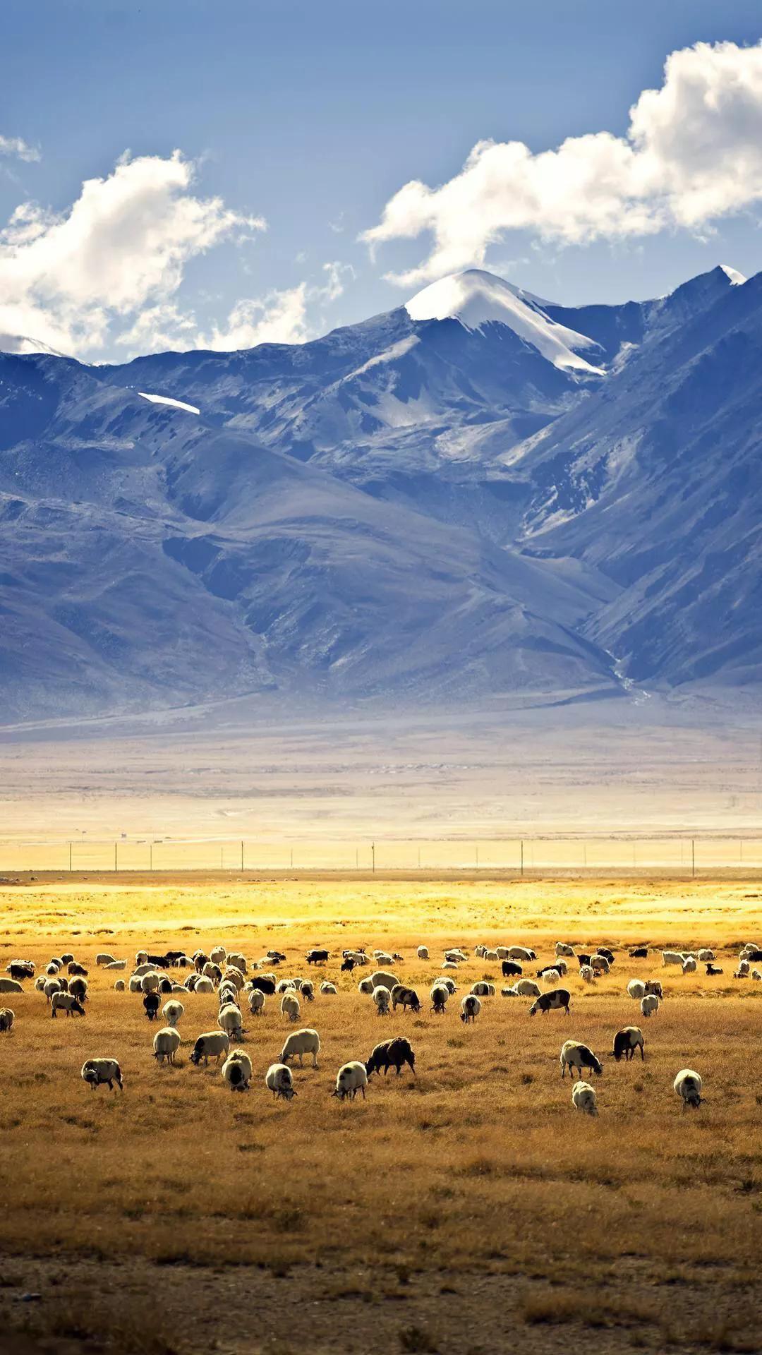 28字小诗点醒无数人：落魄时别丢了自己
 
人这一辈子，谁没个摔跟头的时候？可真