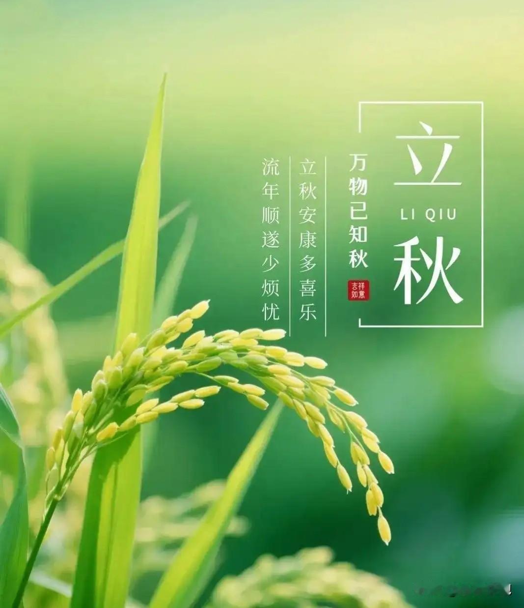 女性好像都是在结婚后，有了孩子之后才看明白，我认为我的父母不爱我没关系，爱我的孩