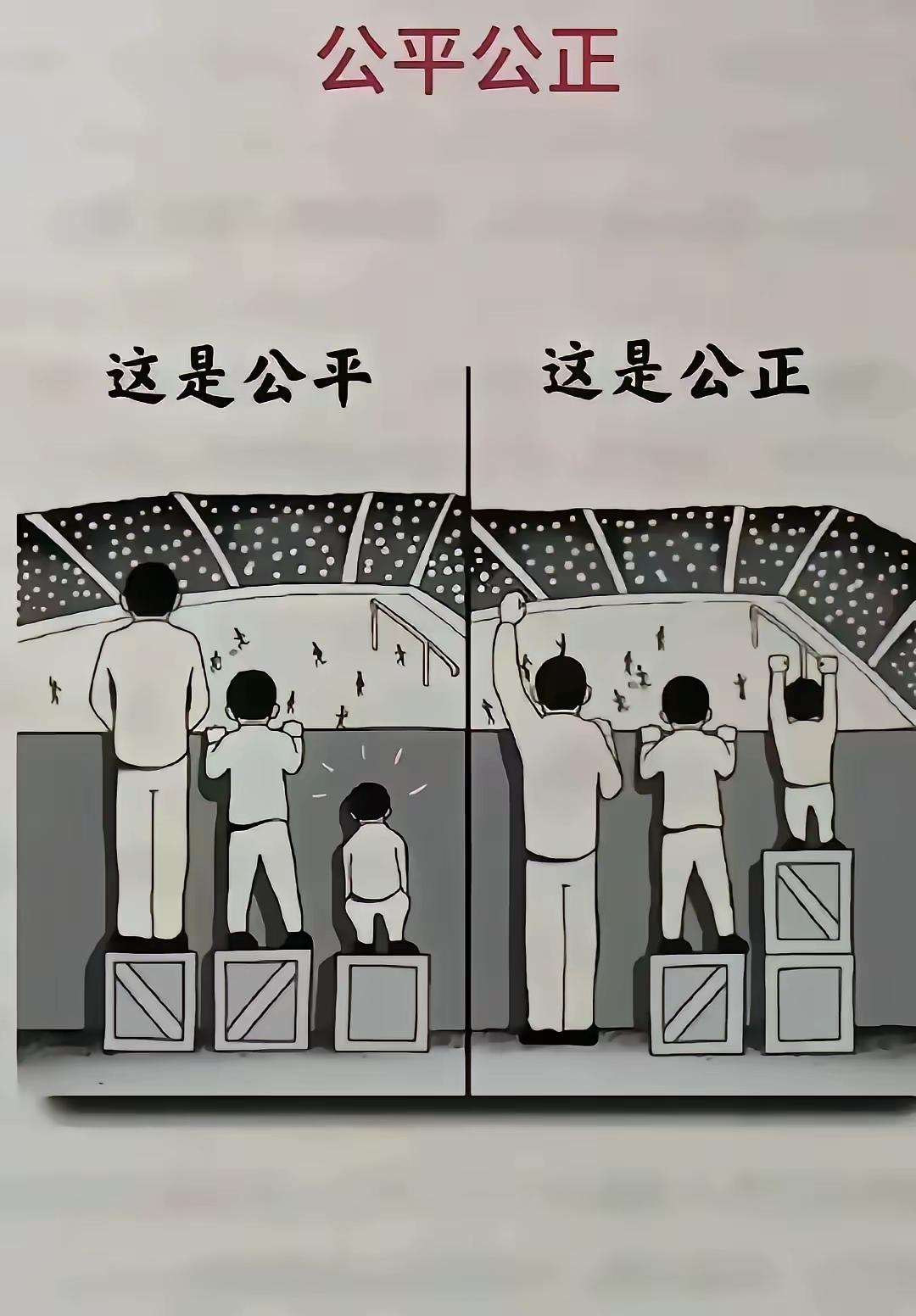 这高阳木草不怕毛铺本草上诉，因为木是木，本是本。，二者毫不相干[大笑][大笑][