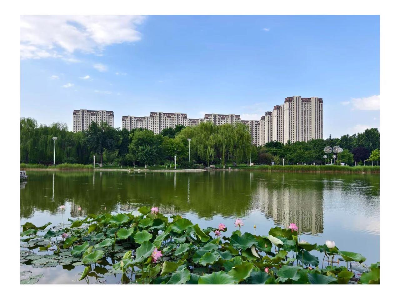 【光影瞬间】桓台蓝天绘就生态答卷。近几日桓台晴空常驻，澄澈蓝天配蓬松白云，大气质