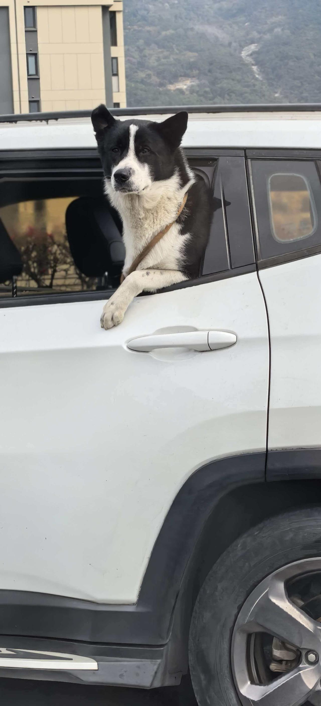 锂矿和稳定币是外围夜盘涨最好的品种，映射到A股昨日盘面略有反馈，随着相关行业消息
