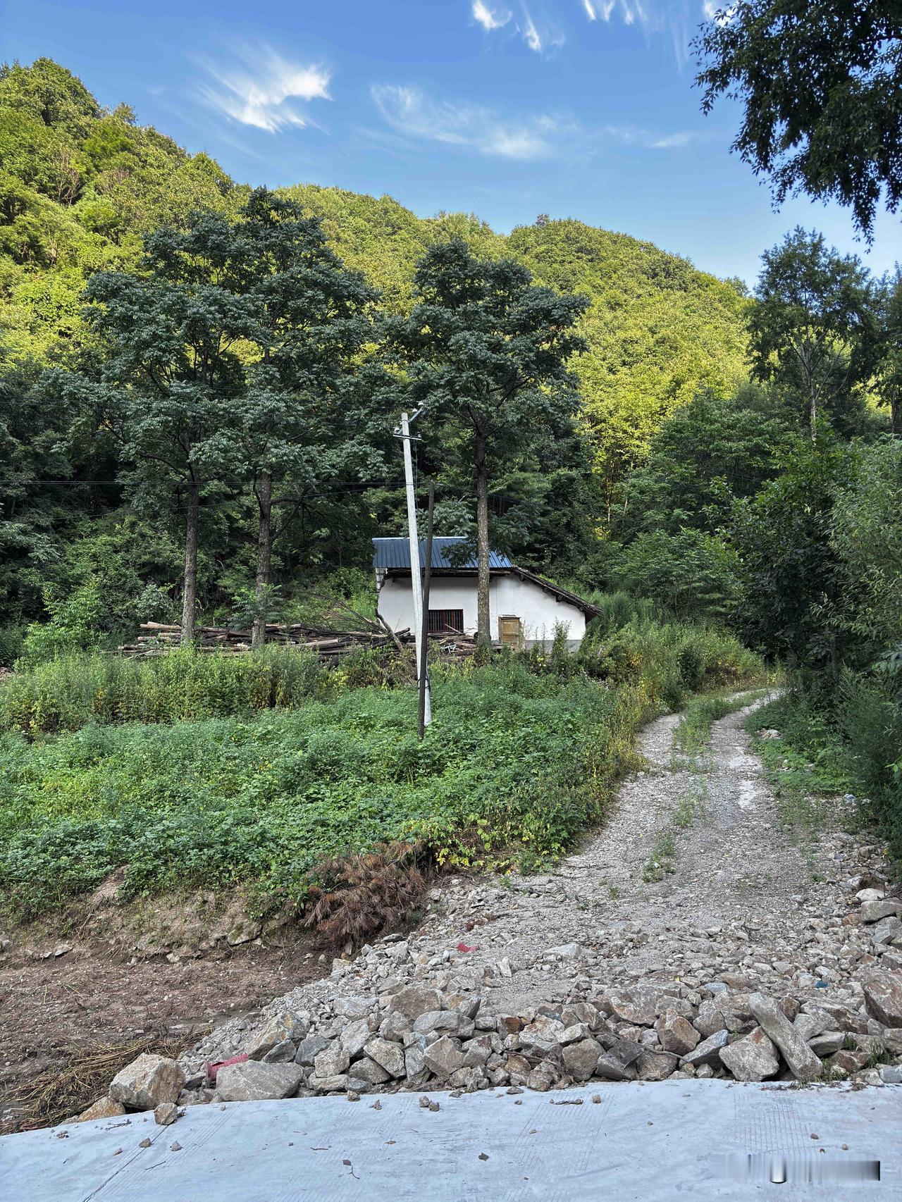 蓝田白岩沟这里，位于秦岭深处，再往上走一会就到柞水地盘了，这里算是世外桃源，平时