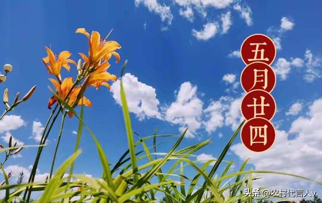 今日五月二十四，讲究：1要出，2不做，吃3样，安康吉祥日子旺
 
农历五月二十四
