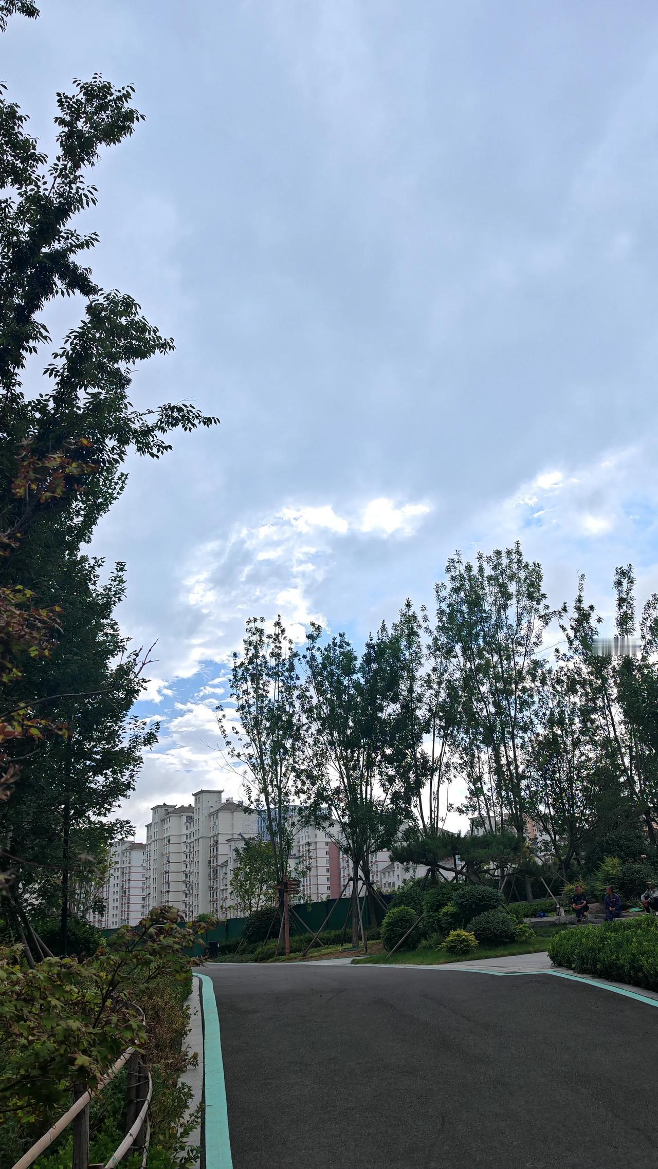 浅秋和深秋
其实只隔了一场北风
一夜过后
秋虫也归于了寂静
落叶也铺满了地
人们