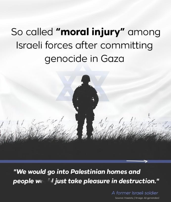 🔹以色列报纸《国土报》（Haaretz）发表了一篇新的揭露报道，标题为“我感觉