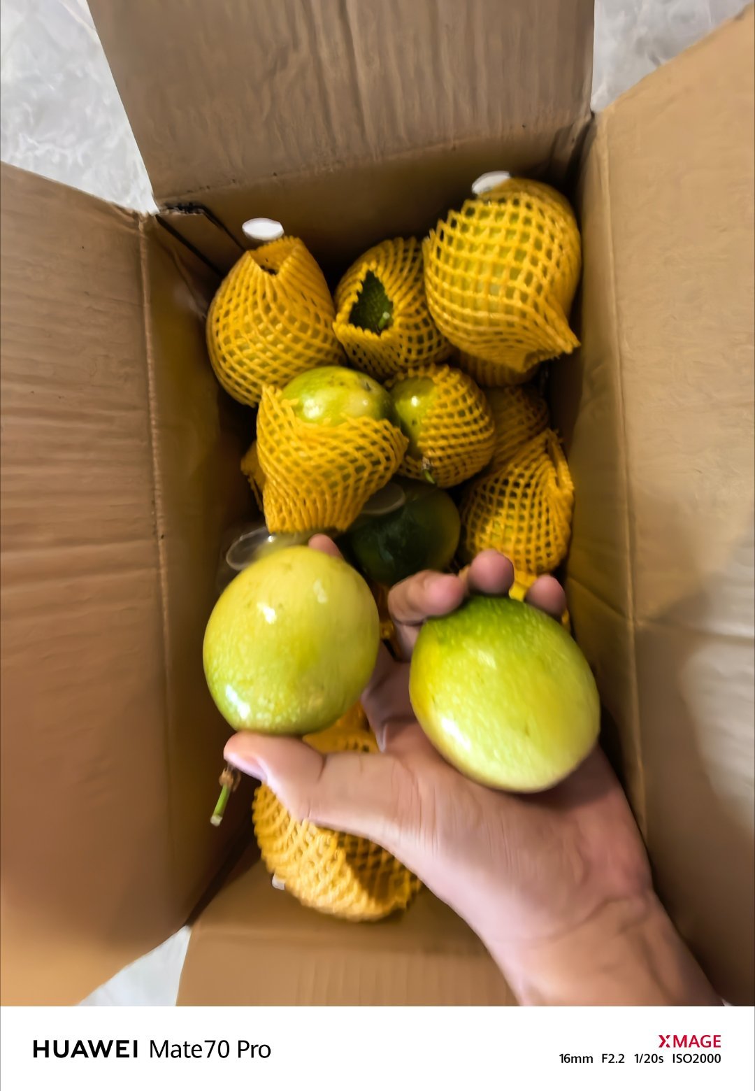 静态品鉴，顶级品质和包装[doge] ​​​