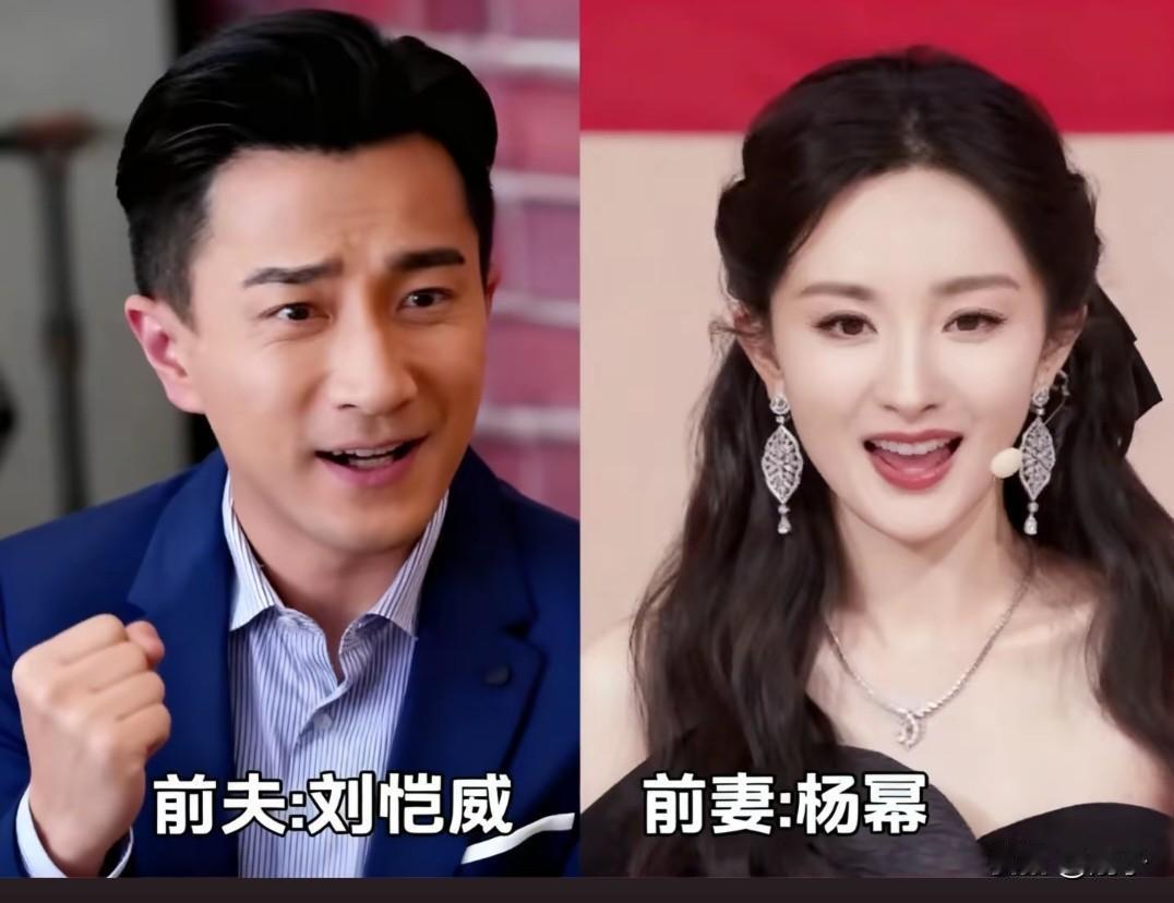 曾经也是并肩看风景的人，如今各自在人生路上发光。
刘恺威与杨幂、黄晓明与杨颖、侯
