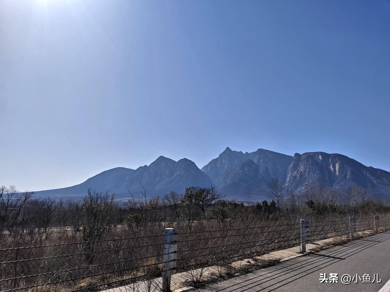 生活不用太刻意，美好都在随手拍里。
路边的风、天边的云、傍晚的晚霞、家里安静的小