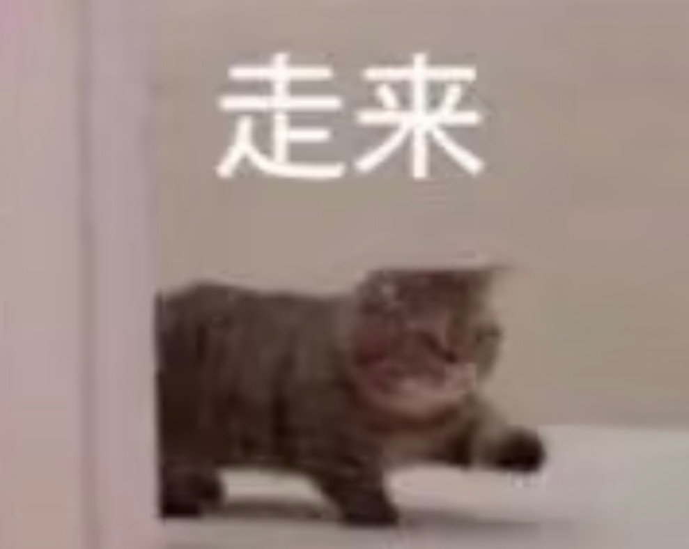张译  探出一只咪……想捉