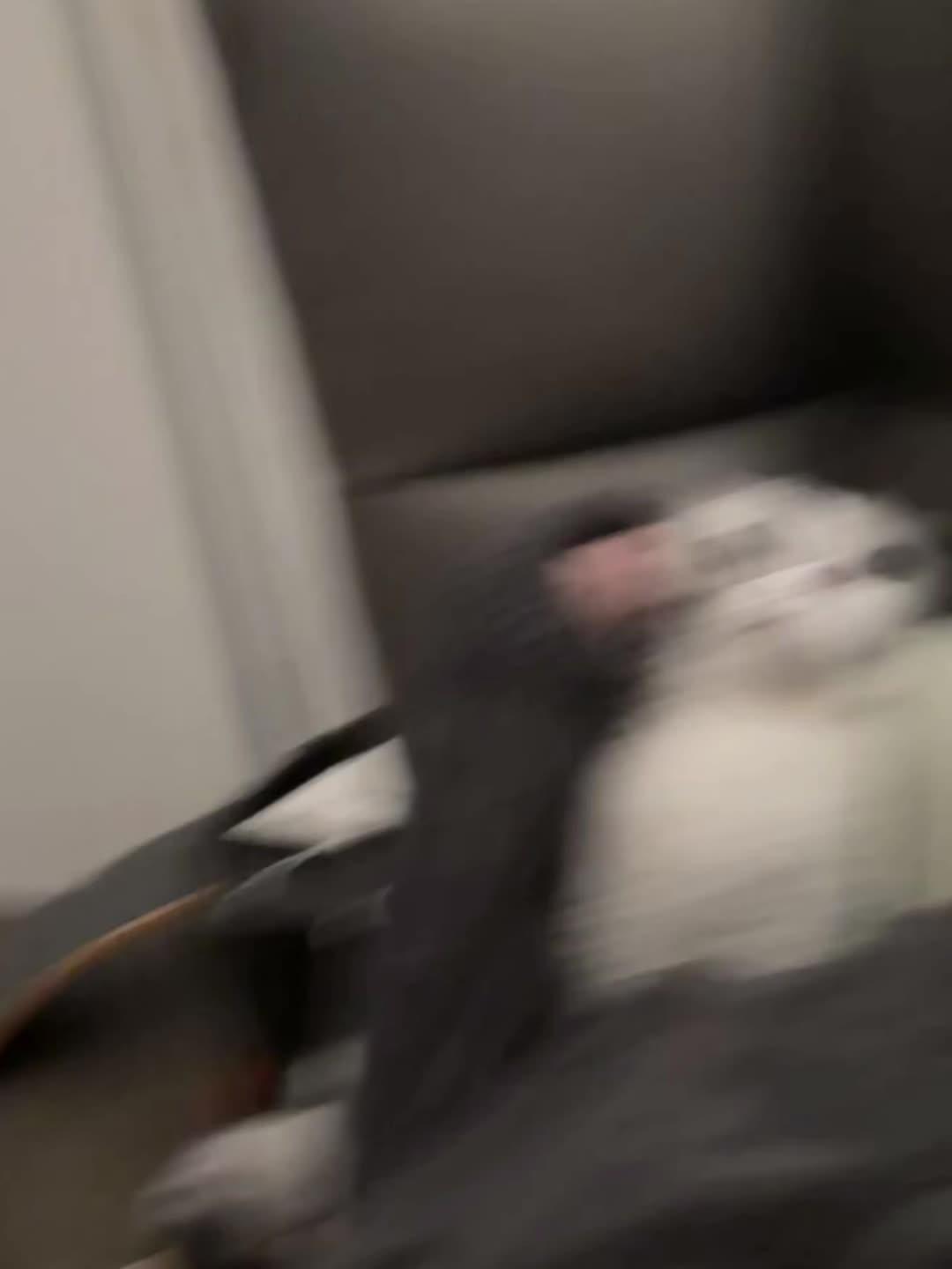 它看起来有点不服气耶