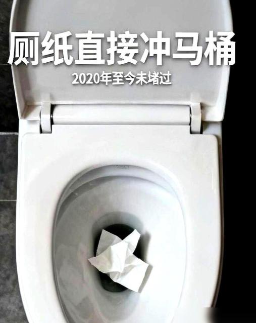 有人连着五年把用过的厕纸全都直接扔进马桶冲走，排污管道整整五年一次都没堵过，掀开