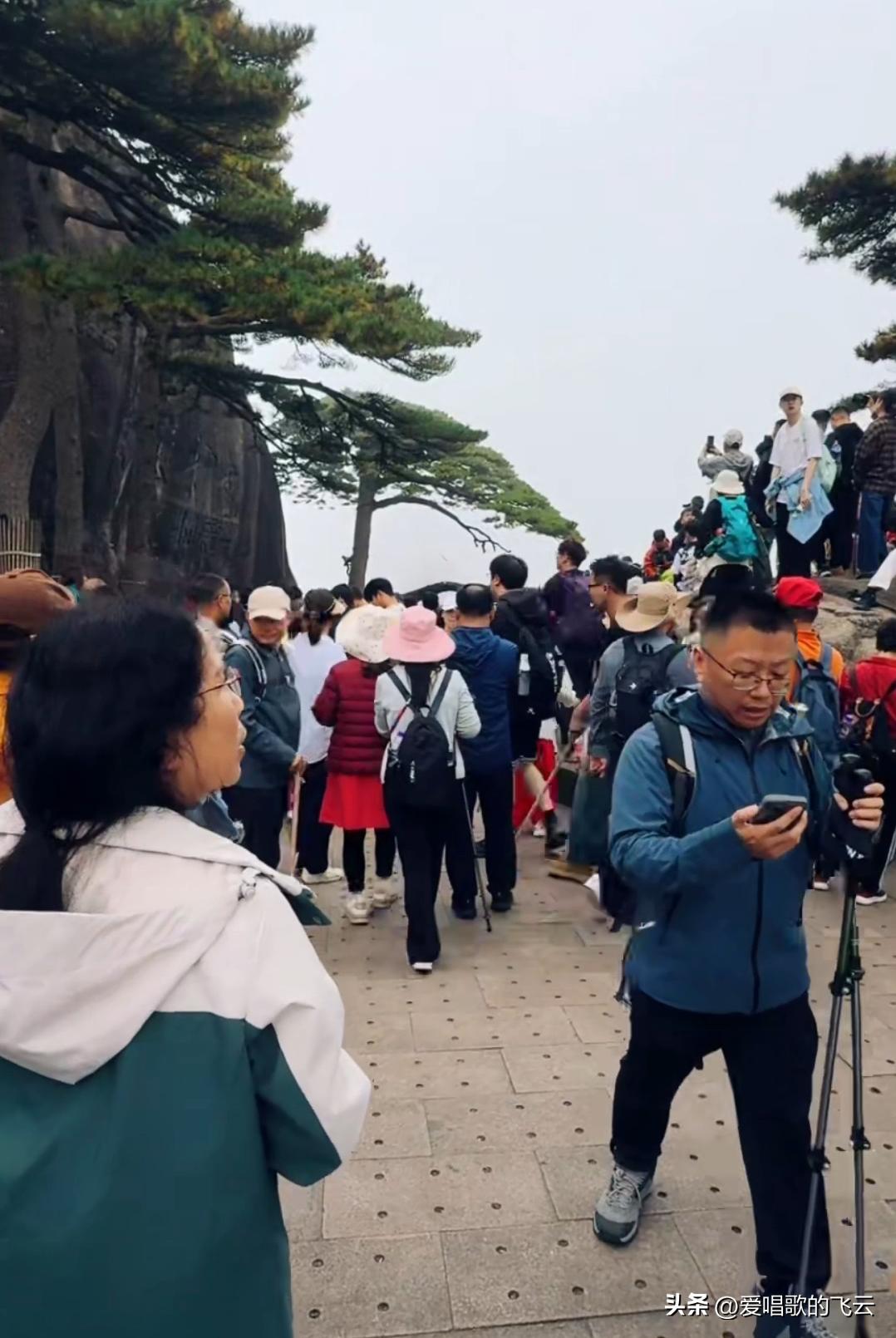 黄山是全国四大名山之一，美景最多的一座名山，喜欢看美景的游客去登黄山是最明智的选