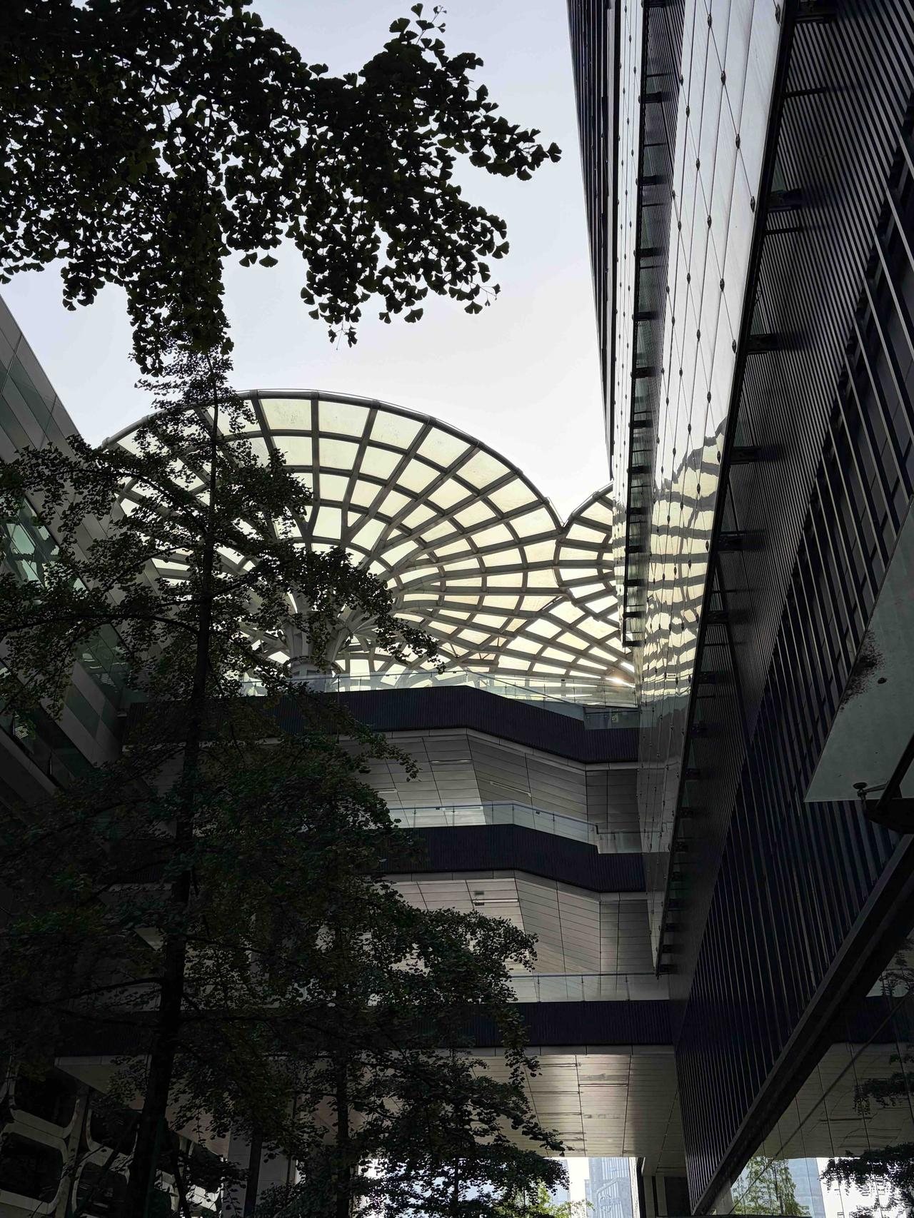 康复日记：慢下来，才是最快的脚步

2026年04月23日 星期四 晴

今天是