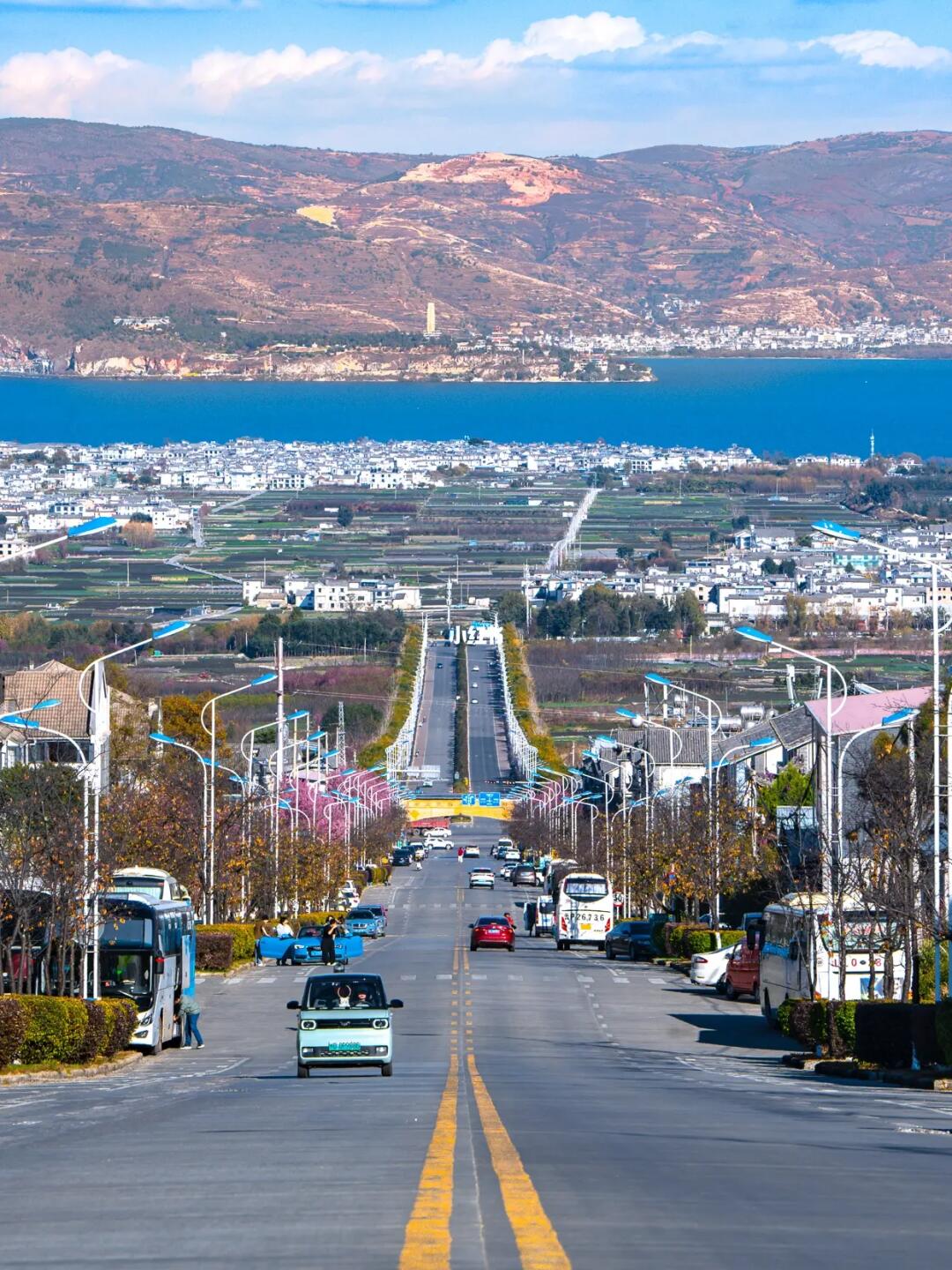 为了这组照片，我专门飞了一趟大理！