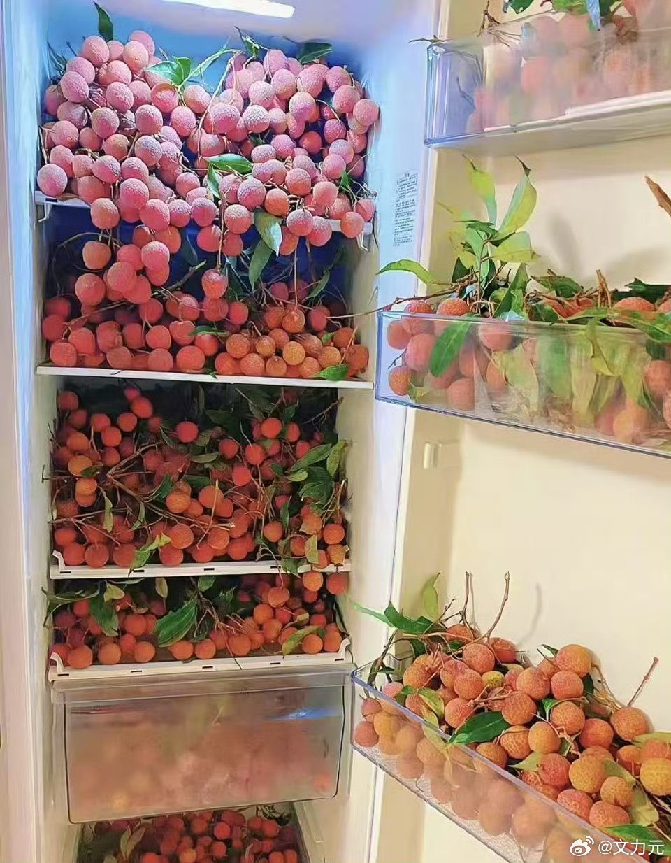桂花荔枝冻清清爽爽，广东人夏天的冰箱，谁懂，太幸福了[并不简单] ​​​
