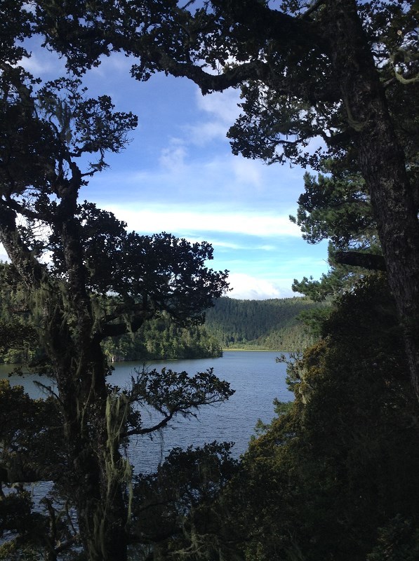 漫无目的地走了一整个下午。平静的湖水、漫山冷杉，溪流漫过草甸，云朵慢悠悠浮在山头