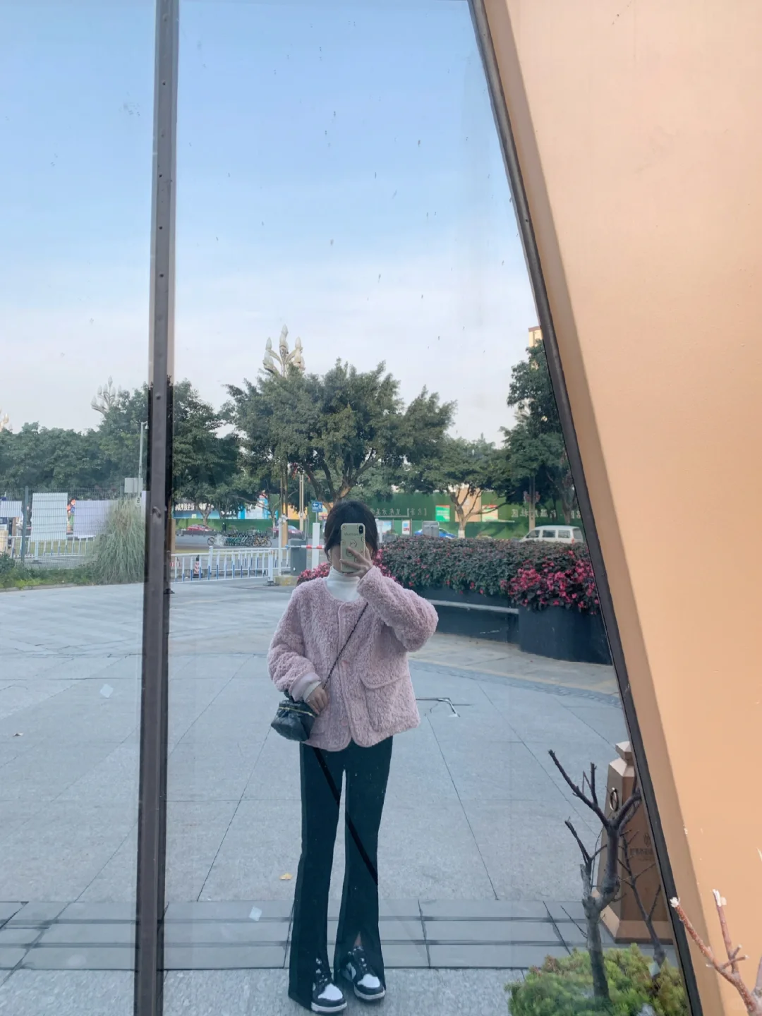 想问问大家飞机进藏到底会高反不
