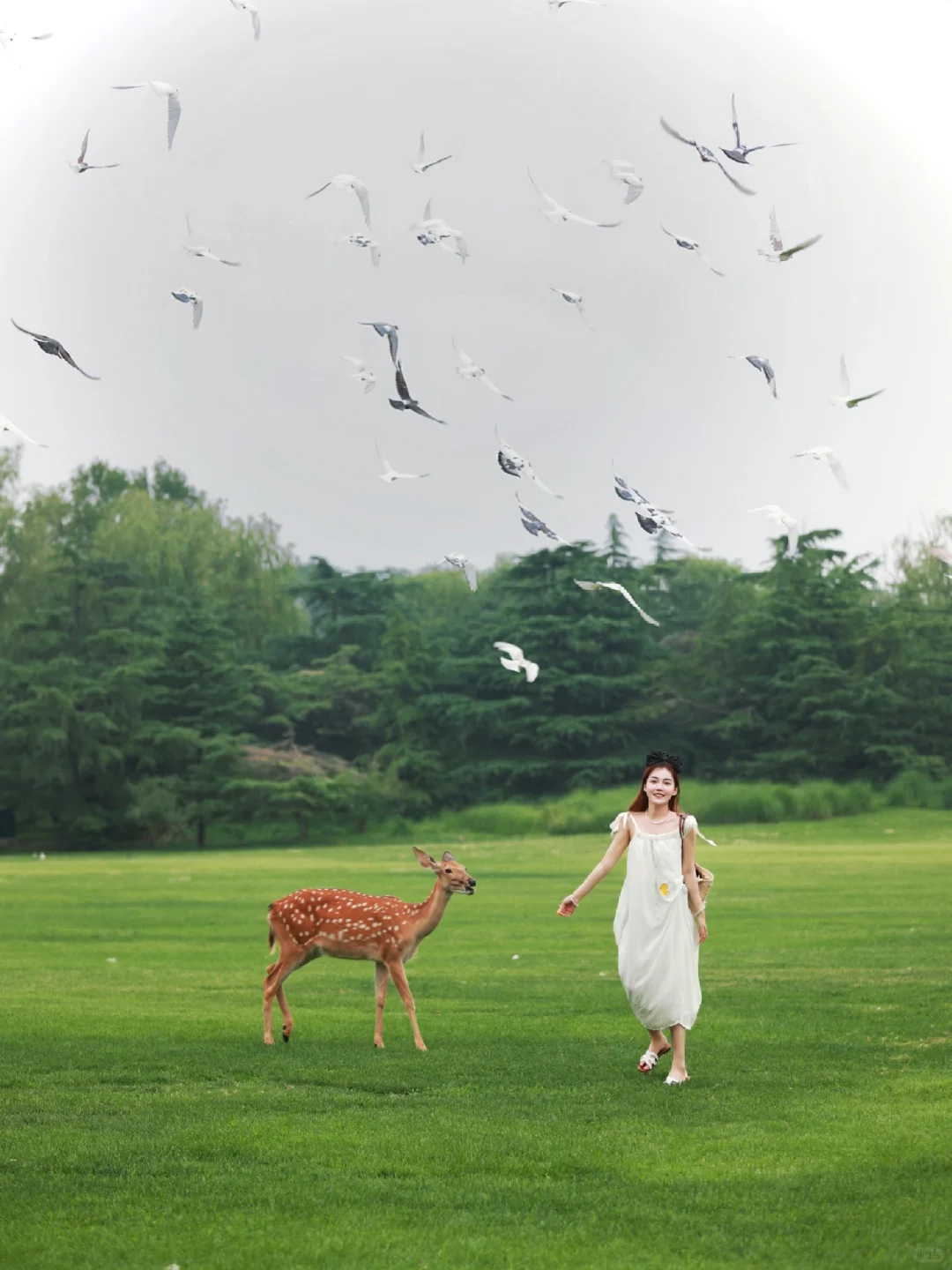 在北京！竟然可以和孔雀🦚在花园共进午餐啦！