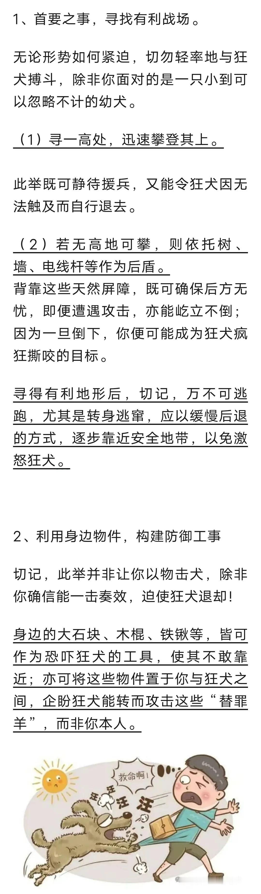 狂犬逼近，如何应对？