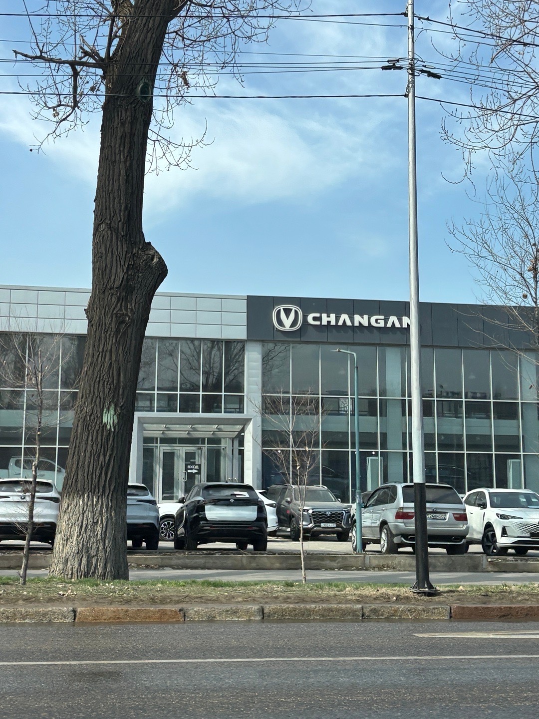 人在阿拉木图，发现这里已经被中国车包围了。网约车司机说自己的梦想之车是极氪和理想