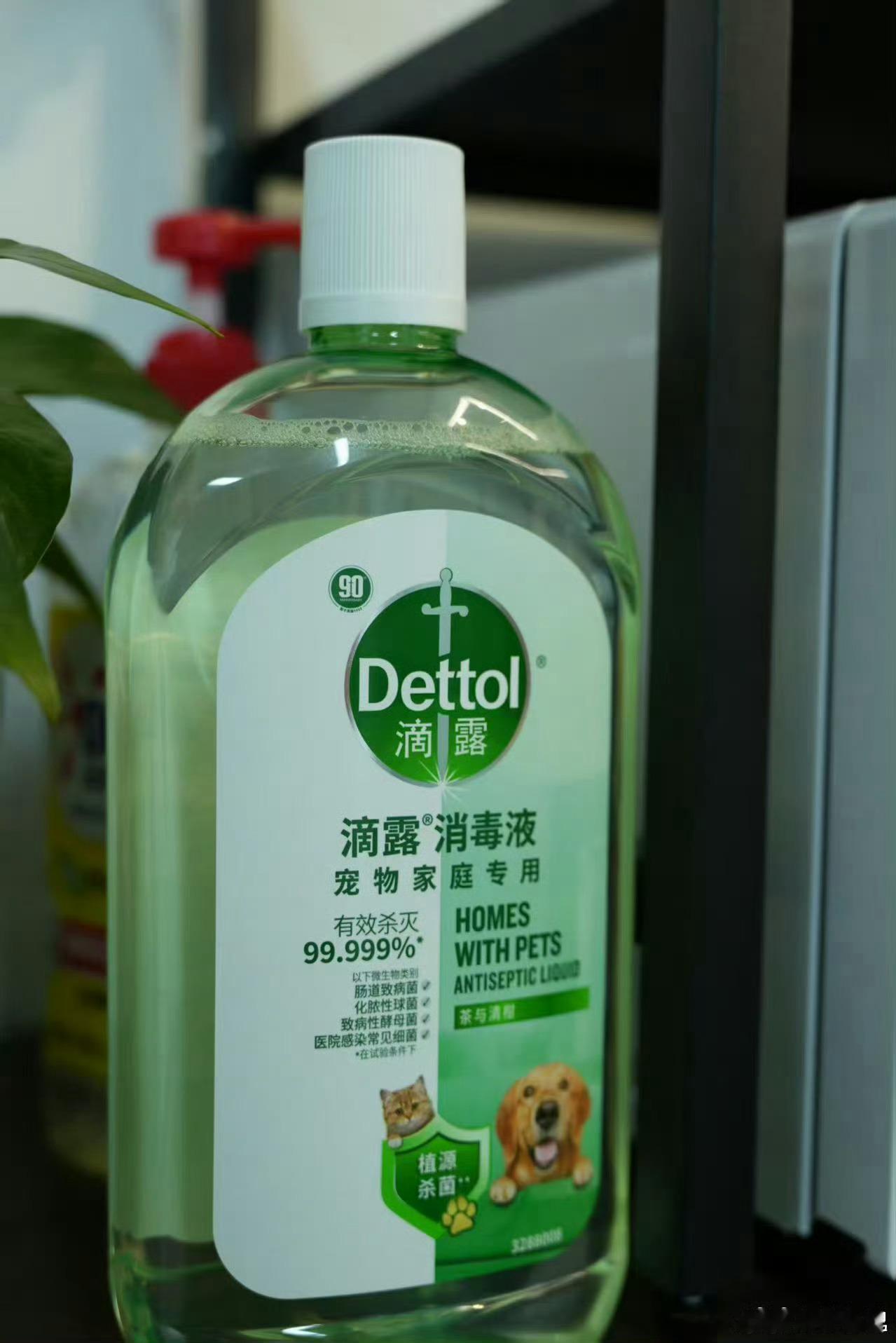 租房养宠挖到宝！滴露宠物、滴露宠物消毒液真的好用。滴露消毒液宠物家庭专用温和护家