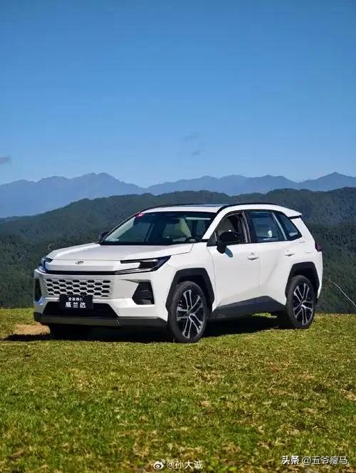 老陈最近有点。
作为一个开了五年丰田的老司机，他对车的感情，就像对家里那只掉毛的