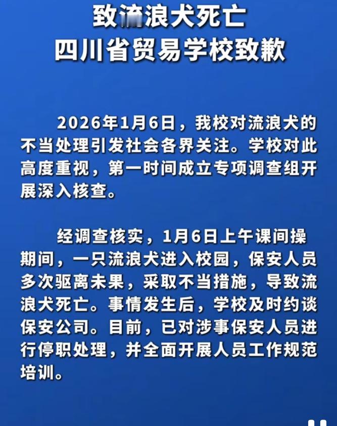 四川一学校保安打死流浪狗致歉：生命教育岂能如此"粗暴"？
1月6日上午课间操时间