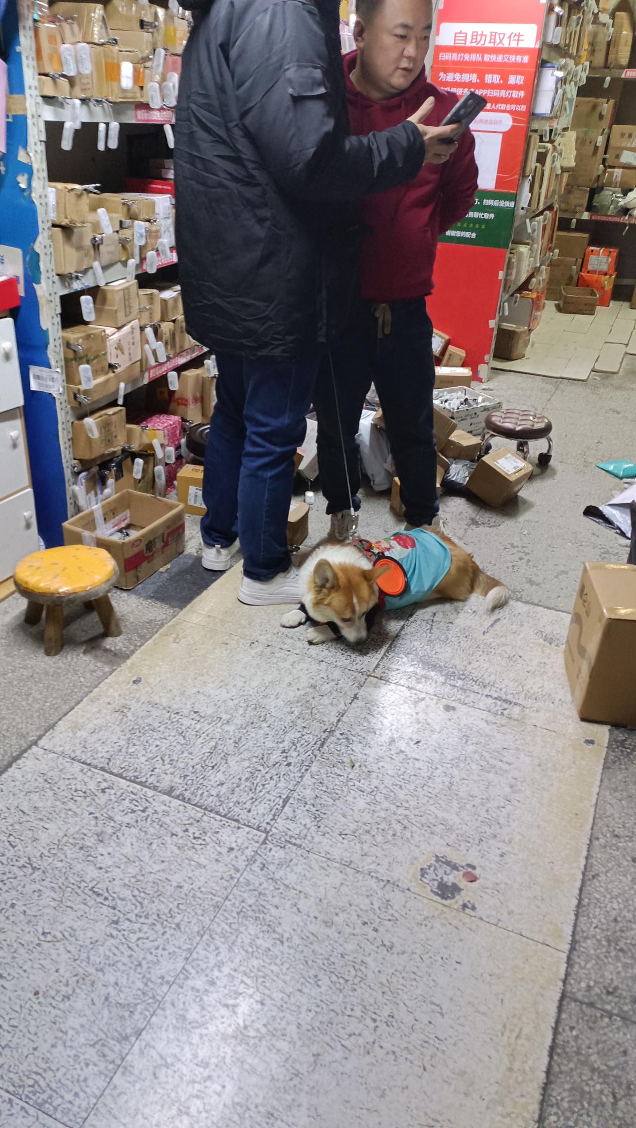 大家看看，这种现象是否合适
我在快递站取快递拍到的，快递满地都是各种快递，这个带