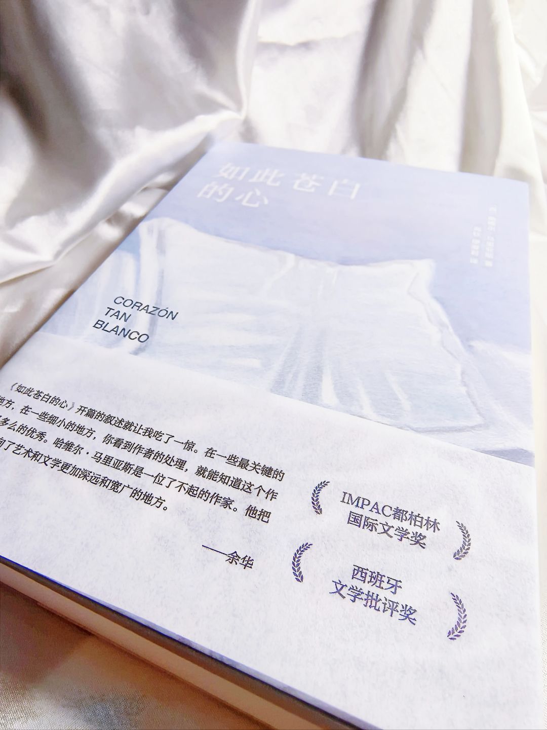那些说不出口的秘密，都藏在了苍白的内心里