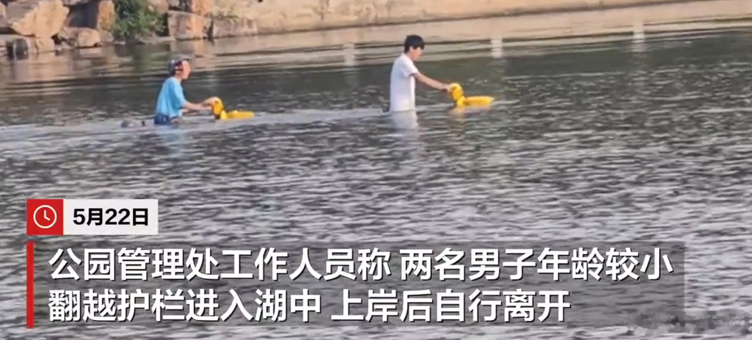 公园回应两男子在湖中骑共享电单车 两个男生，估计是初中生，翻越了护栏，骑着共享电