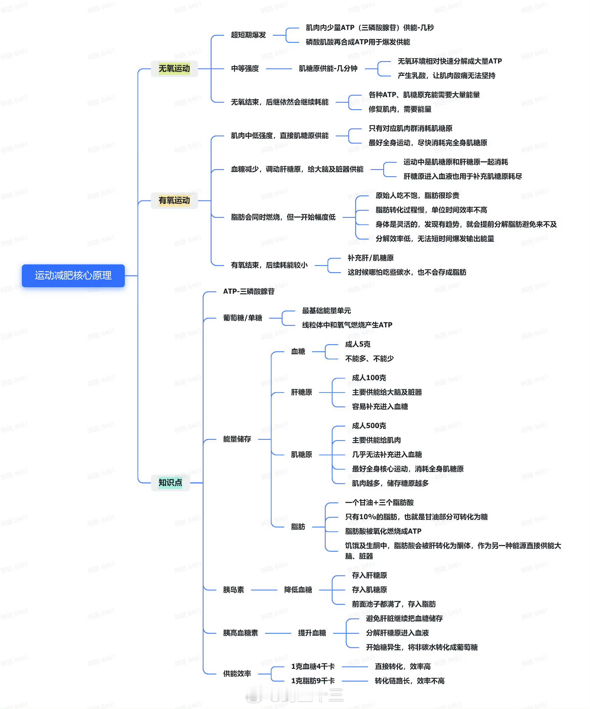 只吃水果女子去世前体重仅44斤分享一个韩路运动减肥核心原理图！！安全。减肥要找到