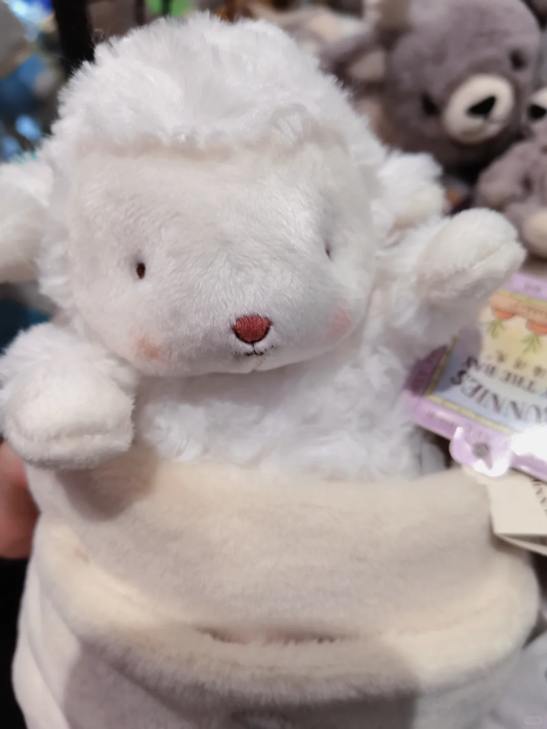 之前拍到的小羊 萌~