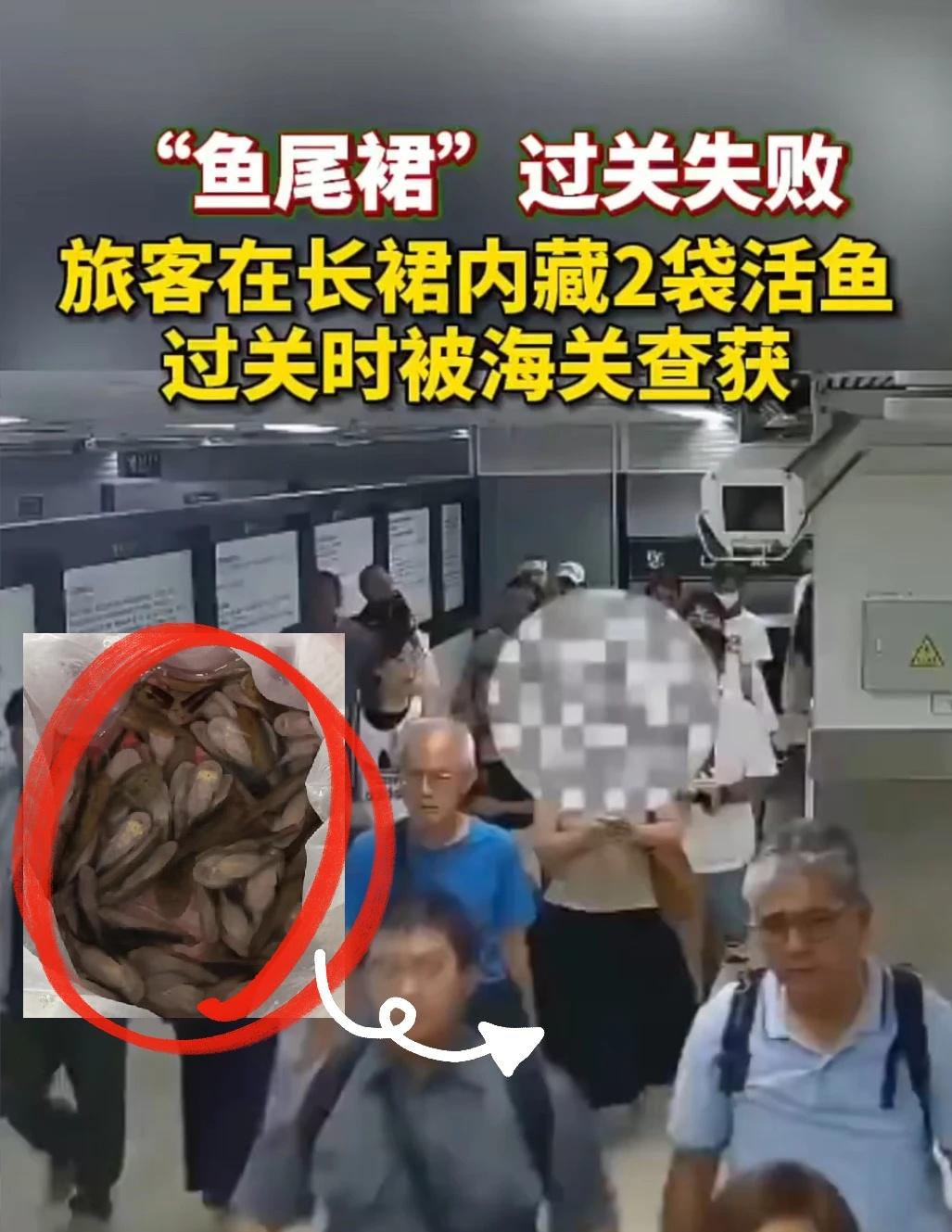 长裙下有鱼尾巴……是你吗人鱼公主🧜🏻‍♀️
近日，罗湖海关查获进境旅客裙内藏