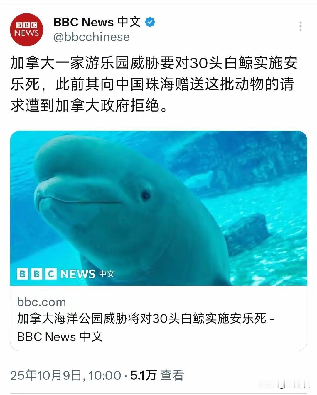 情愿看到白鲸被安乐死，加拿大政府都不愿意看到白鲸被送往中国珠海圈养，这个逻辑一般
