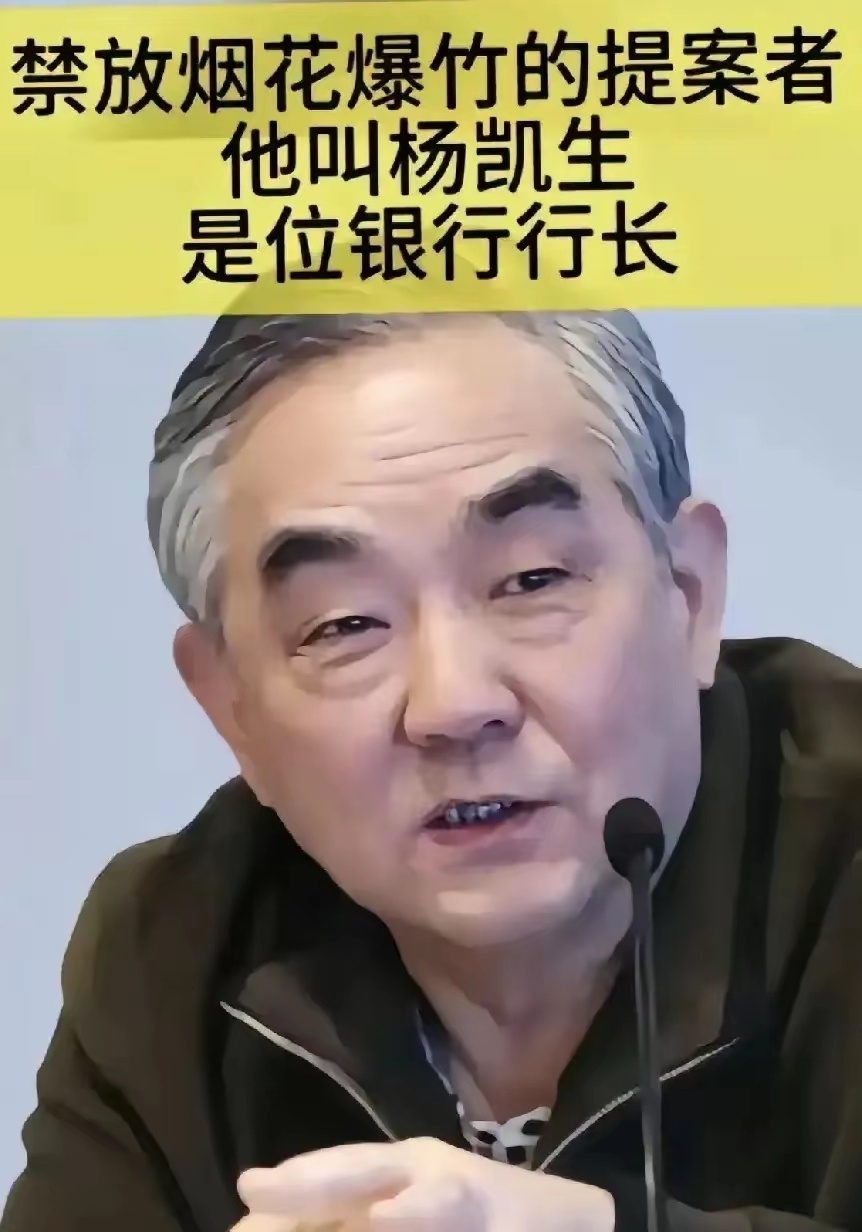 你知道是谁最早提出过年禁放烟花爆竹的吗？是杨凯生。这确实有些让人意外，他本职是银