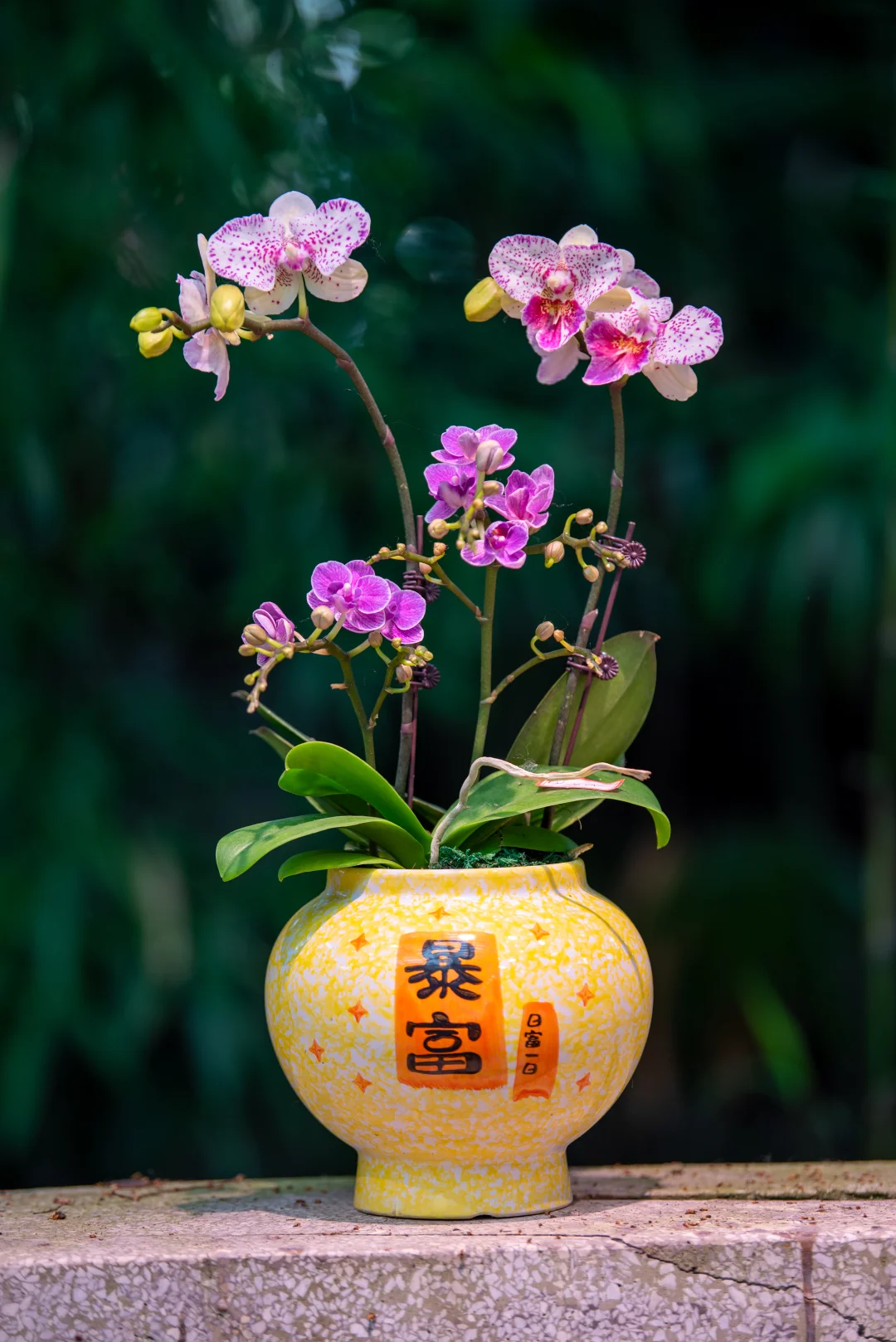原来兰圃公园那么小，里面好多人啊