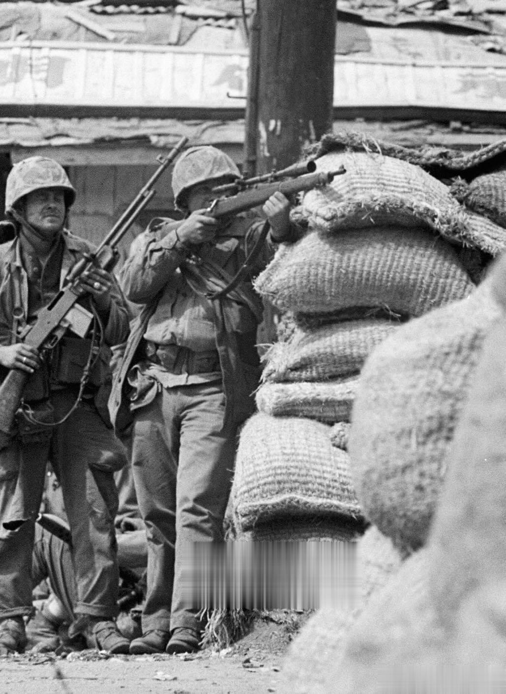 陆战一师的士兵正在用M1903A1栓动狙击步枪射击，摄于1950年9月的汉城巷战