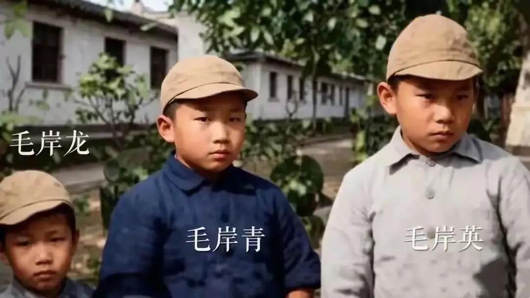 这是毛岸英和弟弟毛岸青、毛岸龙为数不多的合影，禁不住热泪盈眶，兄弟三人小小年纪就