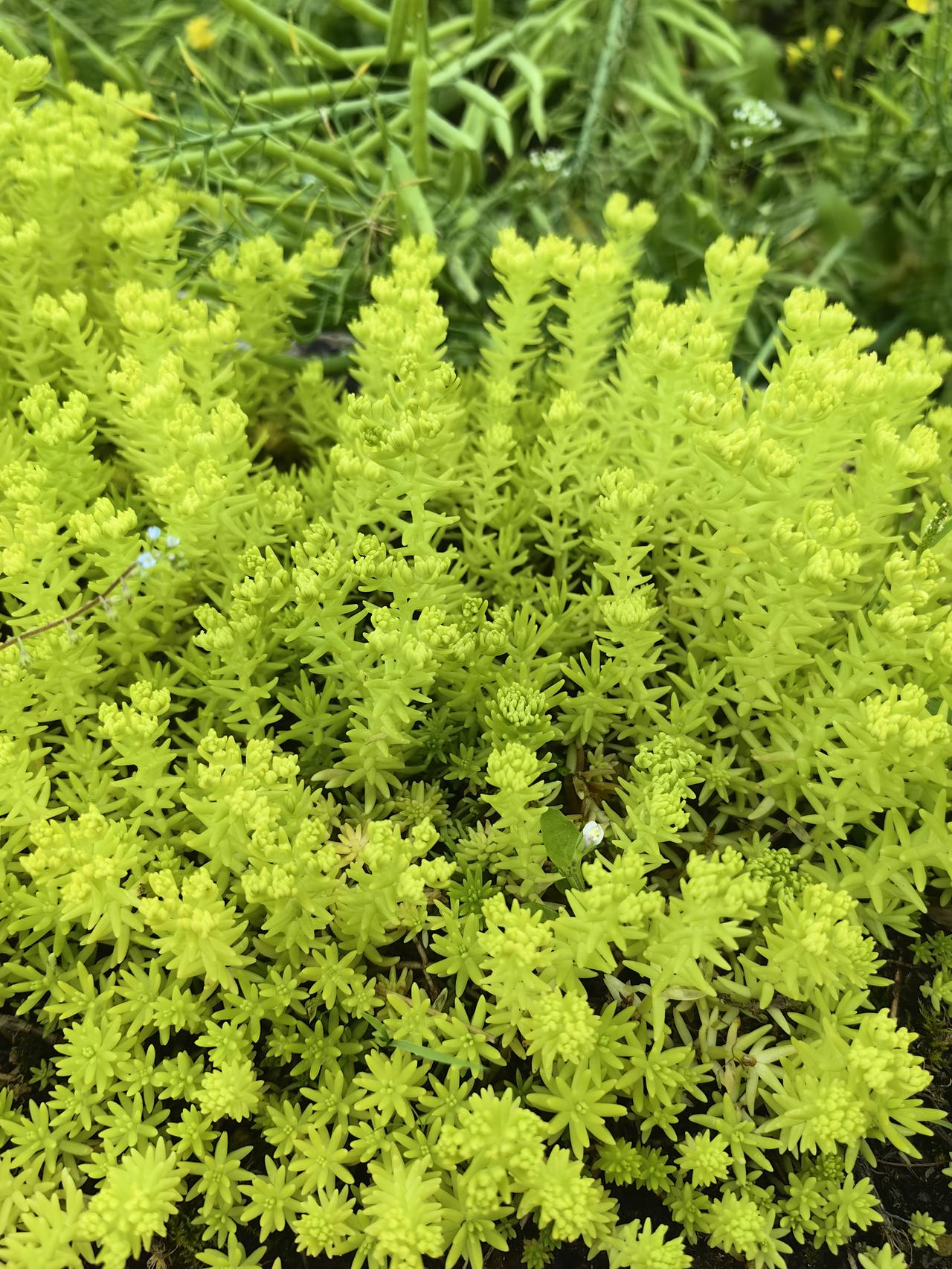 说“炒股总是买入就跌，卖出就涨”是伪命题，确实如此。很多股民都有“一买就跌”的经