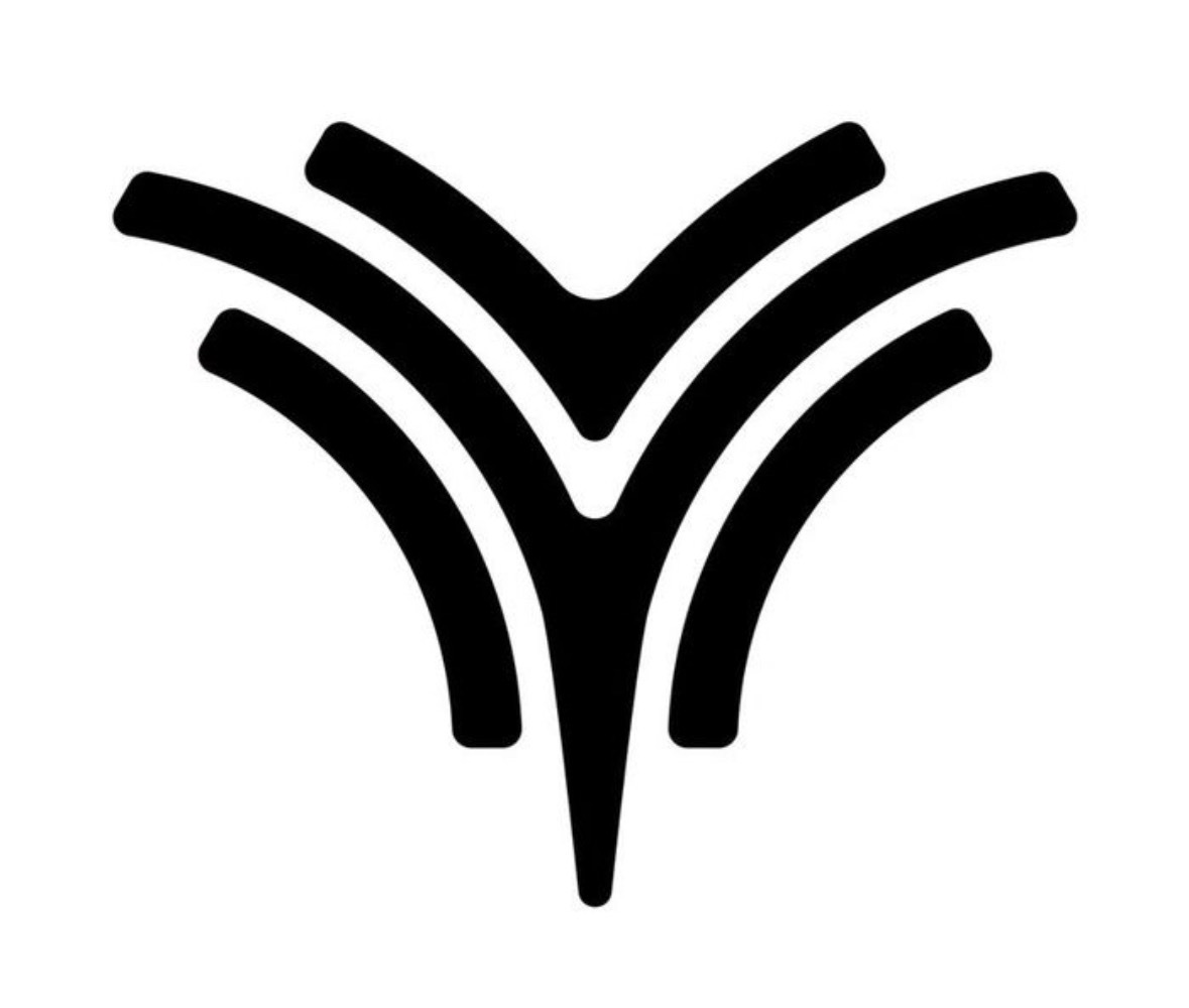 张雪称5亿设计logo害死哪吒这玩意值5亿？ 