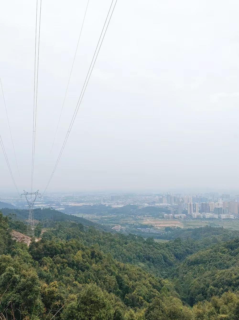 绝望周末！带2娃爬山迷路，山沟里无助到哭，你有类似经历吗？
🌲带娃爬山居然在荒